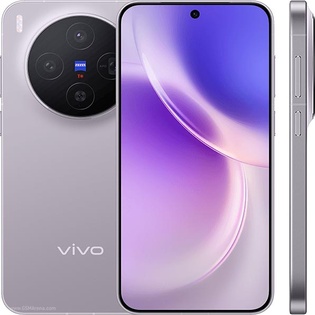 Vivo X300